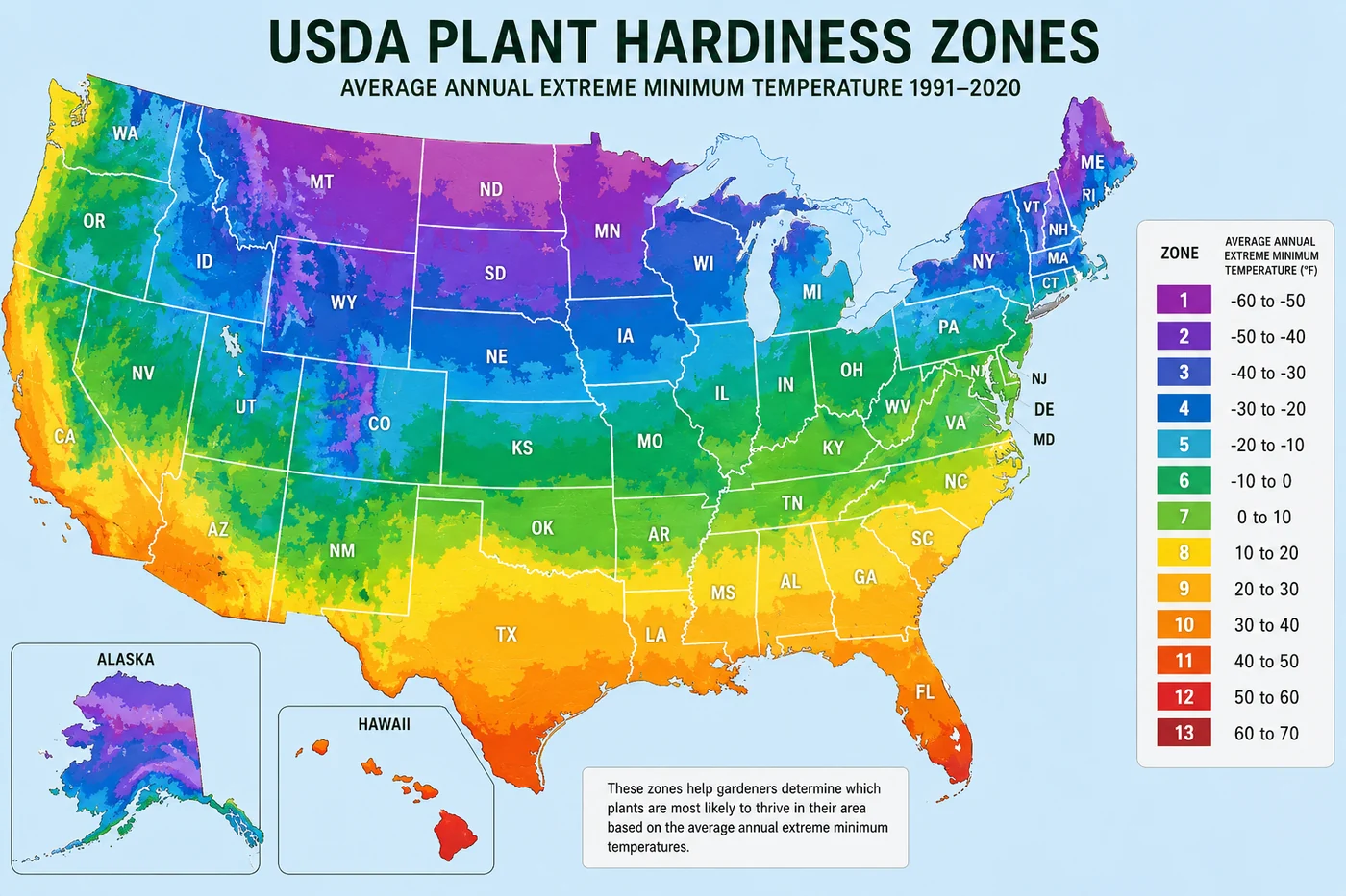 Cultivate Your Dream Garden Today